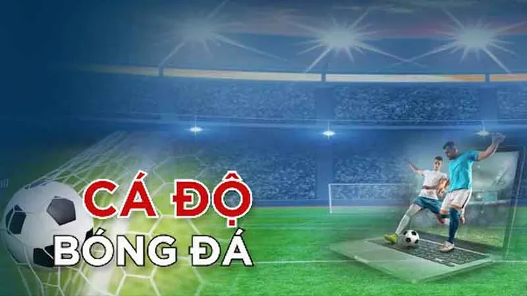 Khám Phá Cá Cược Bóng Đá VN88 Hấp Dẫn Ngay Hôm Nay