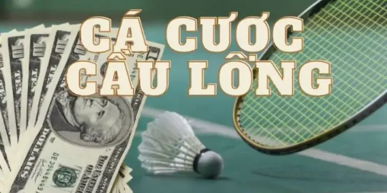 Tham Gia Cá Cược Cầu Lông VN88 Ngay Để Rinh Thưởng Hấp Dẫn