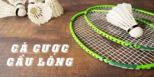 Tham Gia Cá Cược Cầu Lông VN88 Ngay Để Rinh Thưởng Hấp Dẫn