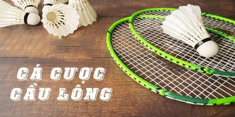 Tham Gia Cá Cược Cầu Lông VN88 Ngay Để Rinh Thưởng Hấp Dẫn