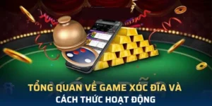 Tham Gia Xóc Đĩa VN88 Ngay Để Nhận Thưởng Lớn Hấp Dẫn